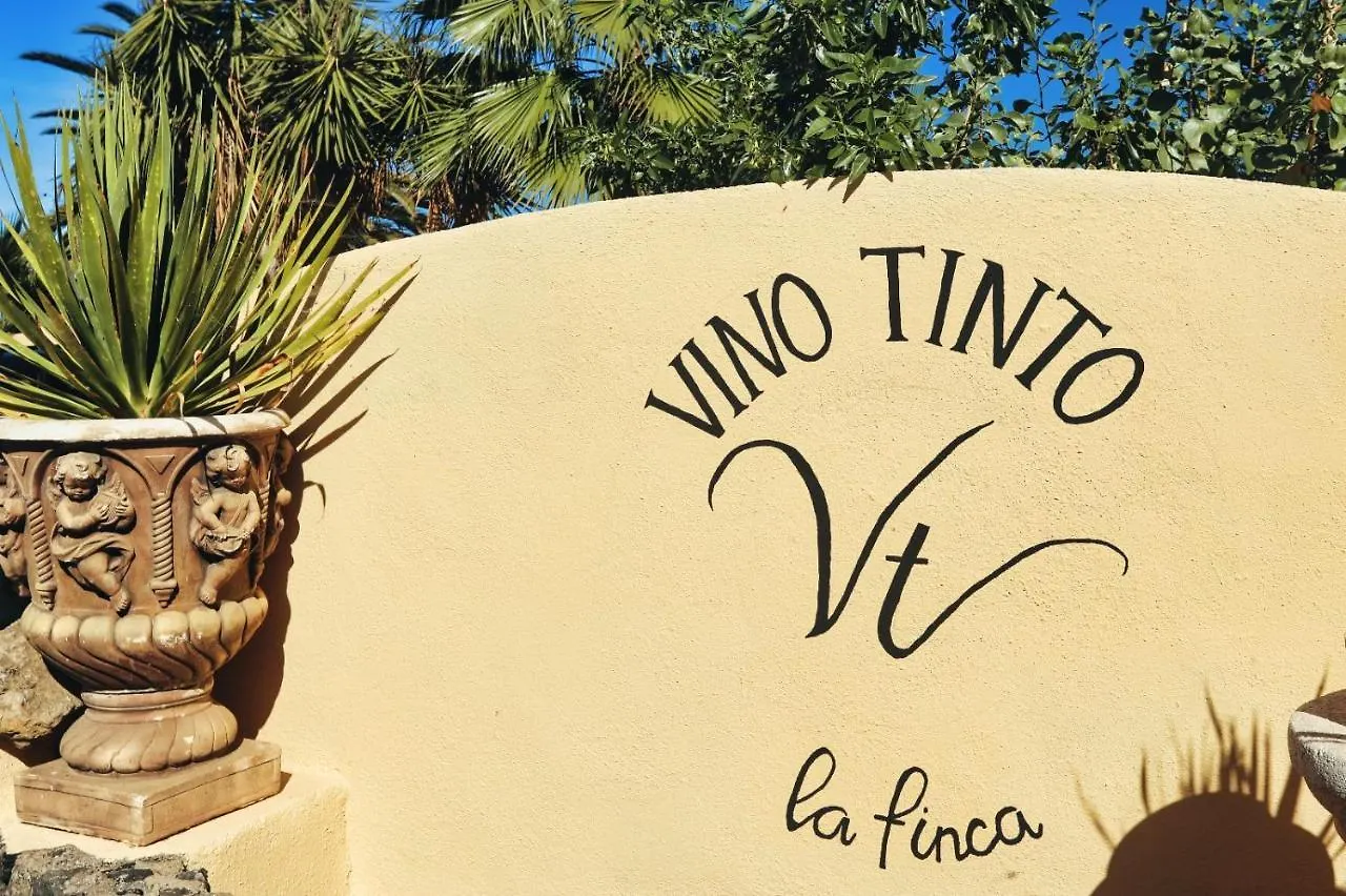 Finca Vino Tinto 2 Icod De Los Vinos 0*,  Spanien